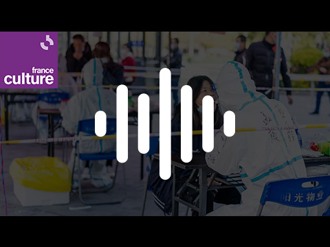 Dominique Salmon-Ceron : « Le Covid long c&rsquo;est une petite mort invisible »